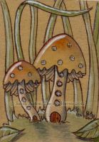 Mushroom Homes